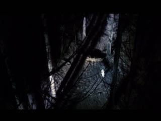 张天爱被躁57分钟未删减版-手机看片免费完整版高清